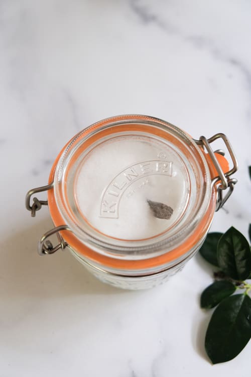 vanilla bean in sugar